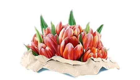 Верхний слой